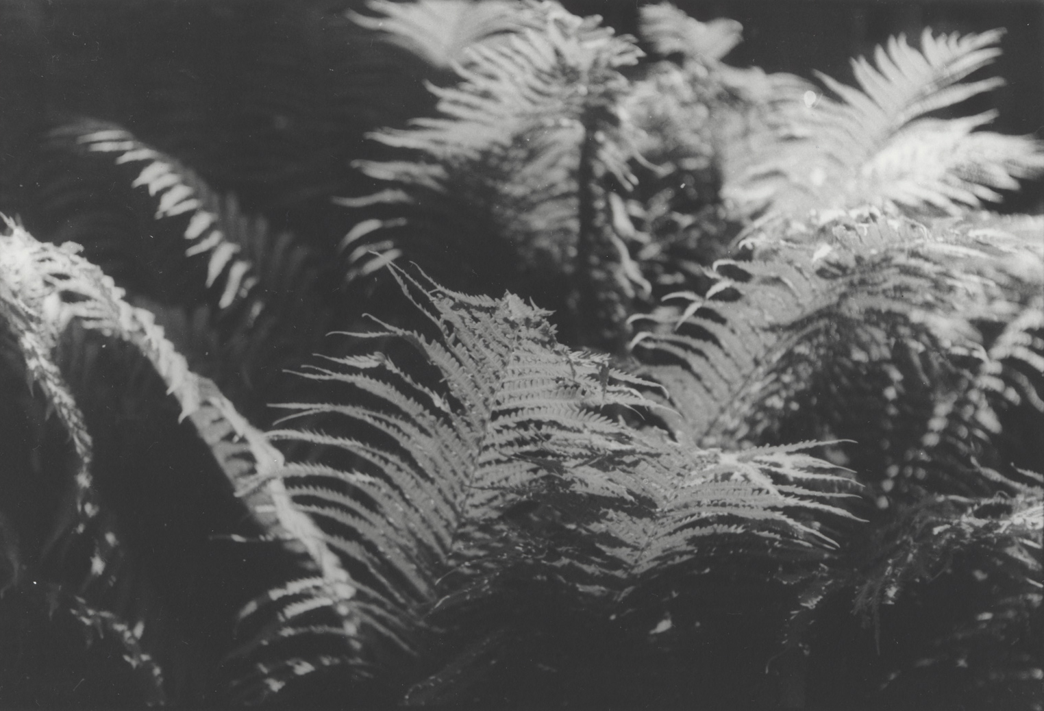 32__
