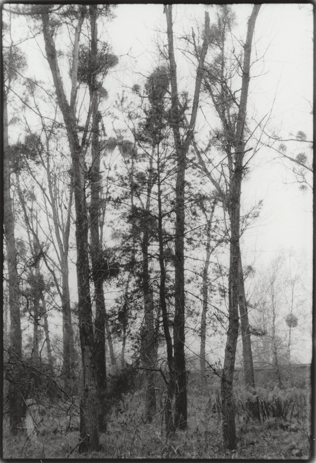 m1