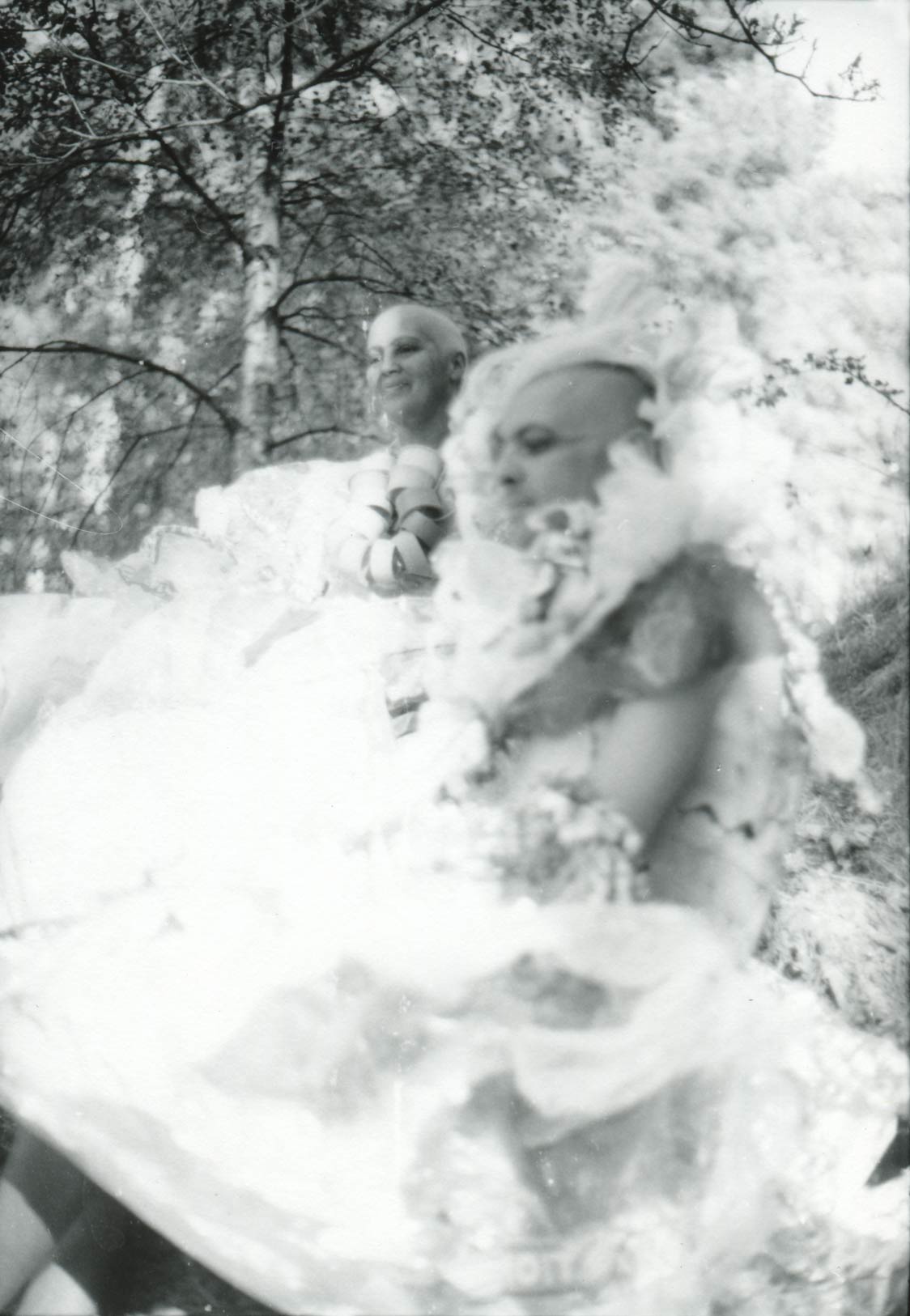 29
