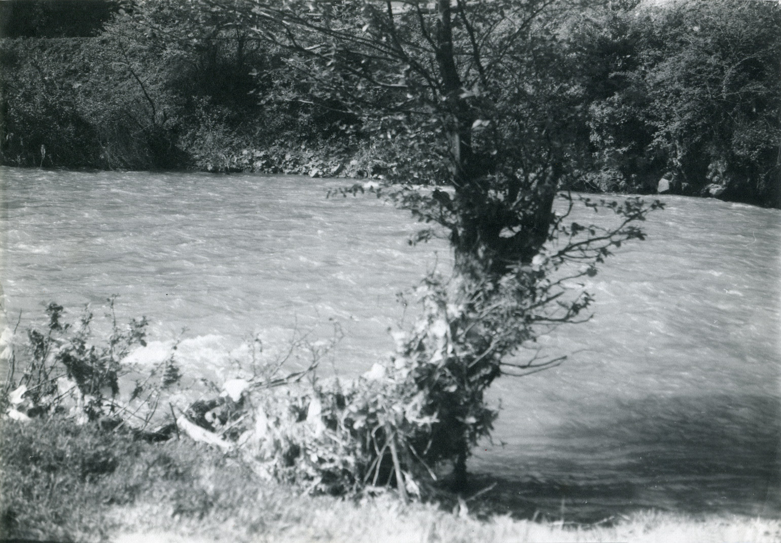 46a