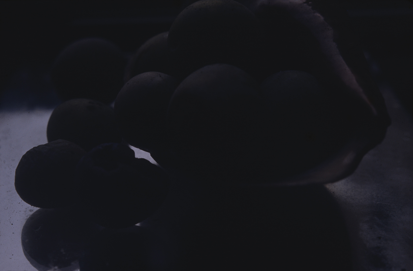 d2